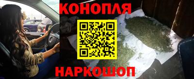 сатива Малоярославец