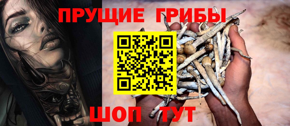 Шатура  Псилоцибиновые грибы Magic Shrooms  Вход с VPN 